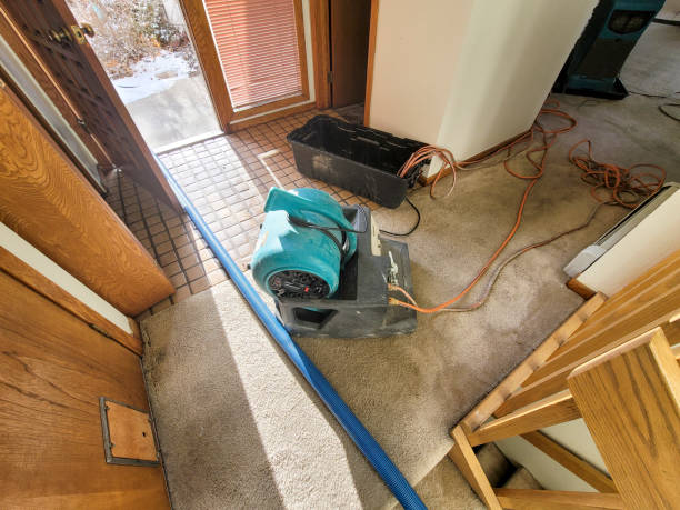 Best Local water damage restoration  in Swedeland, PA
