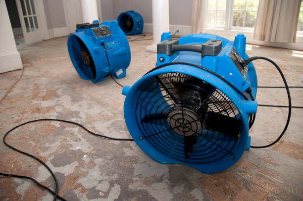Best Flooded house restoration  in Swedeland, PA