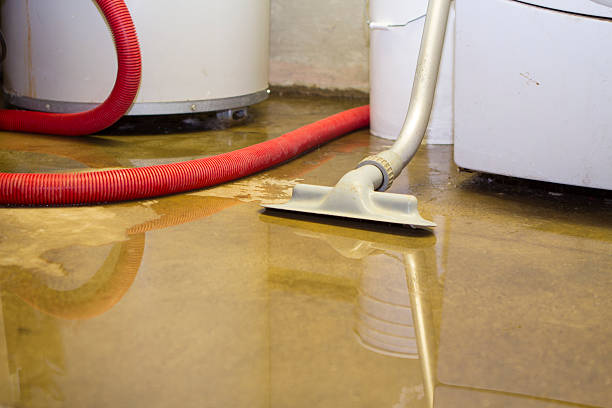 Best Basement water damage restoration  in Swedeland, PA