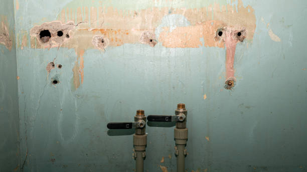 Best Mold removal after water damage  in Swedeland, PA