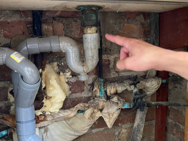 Best Basement water damage restoration  in Swedeland, PA