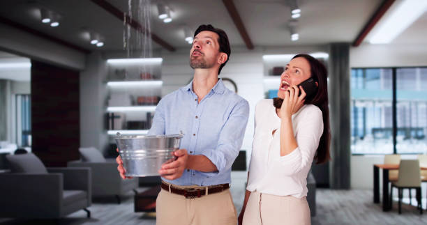 Best Professional water damage repair  in Swedeland, PA